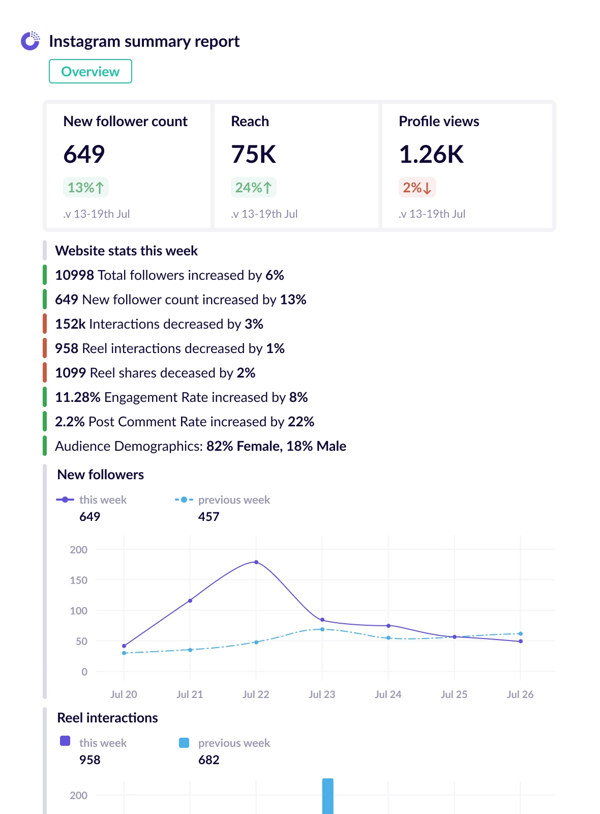 Instagram report - essential metrics business report template