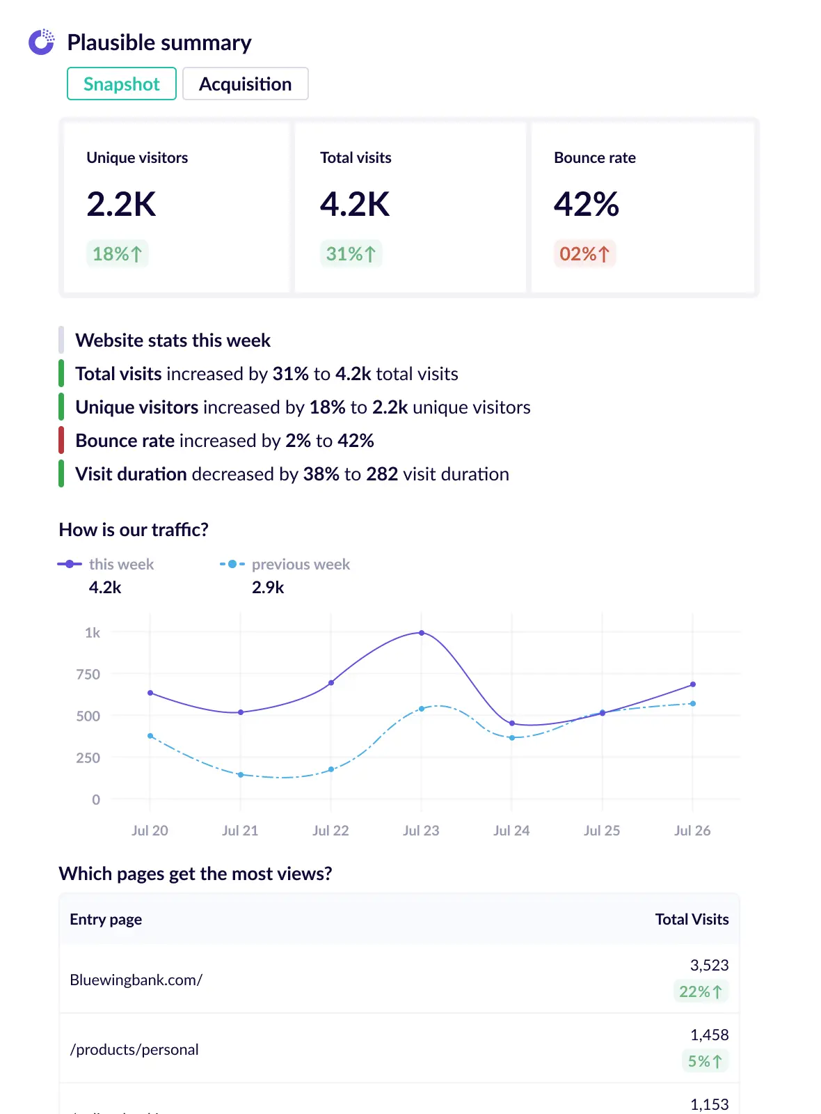 Plausible report - essential metrics business report template