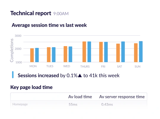 Google Analytics technical performance report.